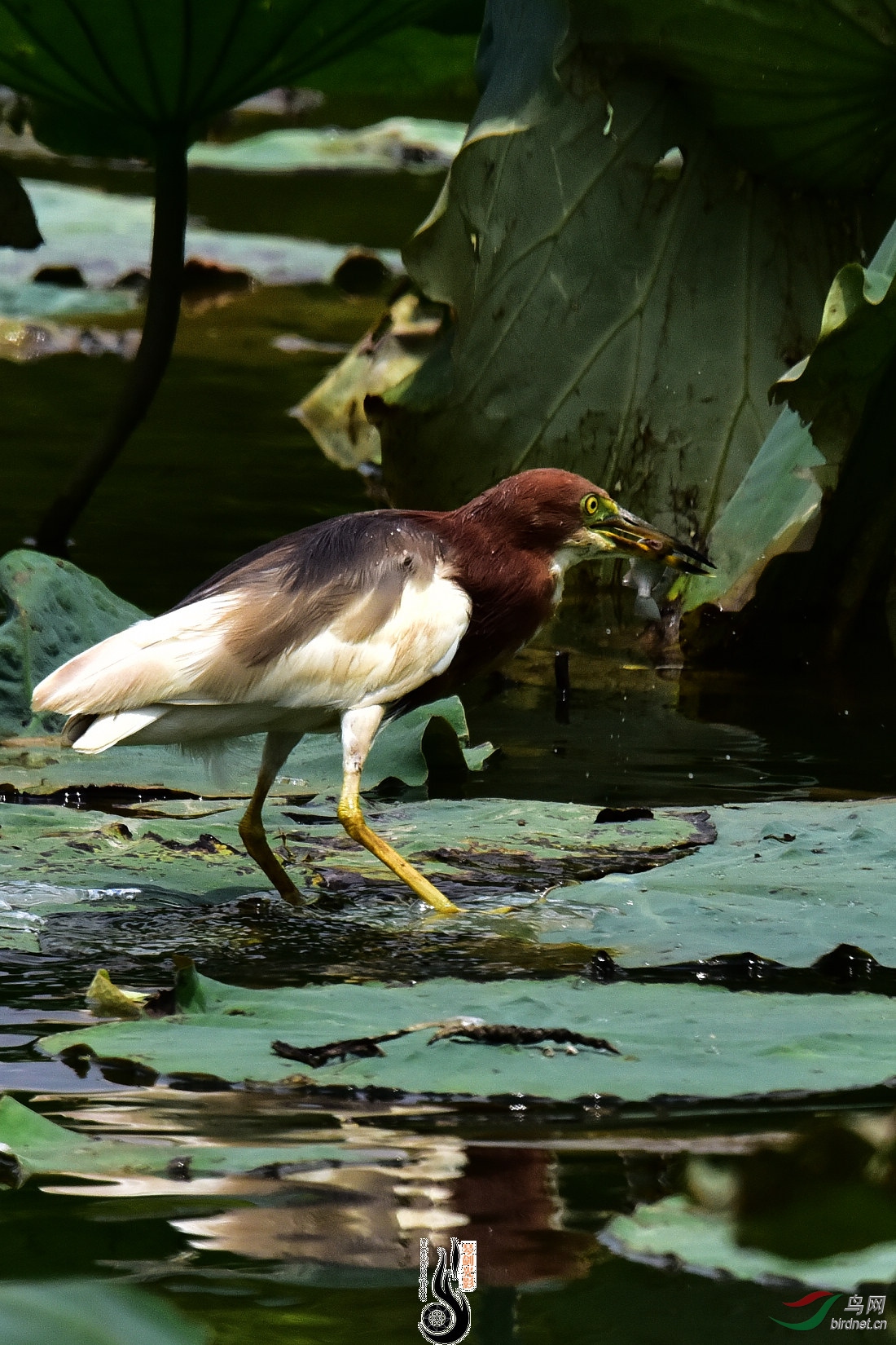 DSC_5755.JPG