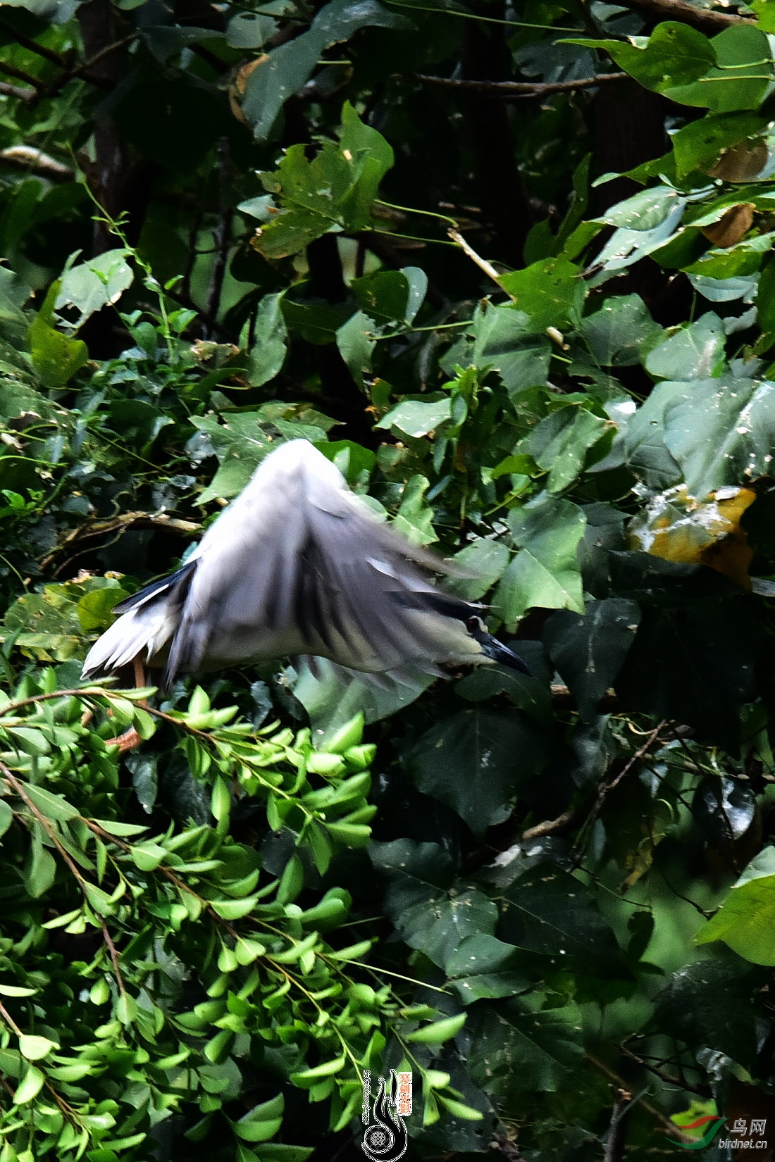DSC_5759.JPG