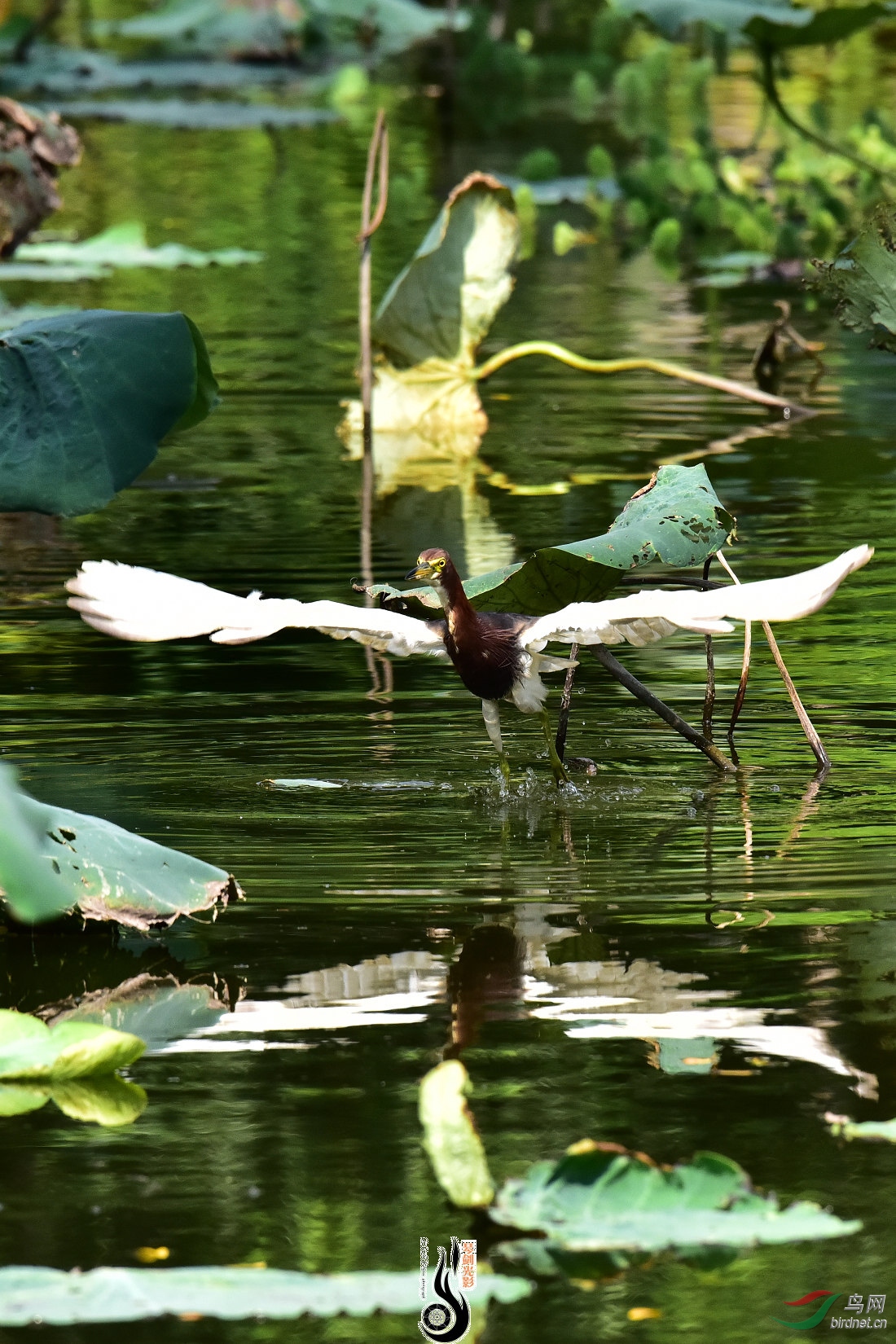DSC_6053.JPG