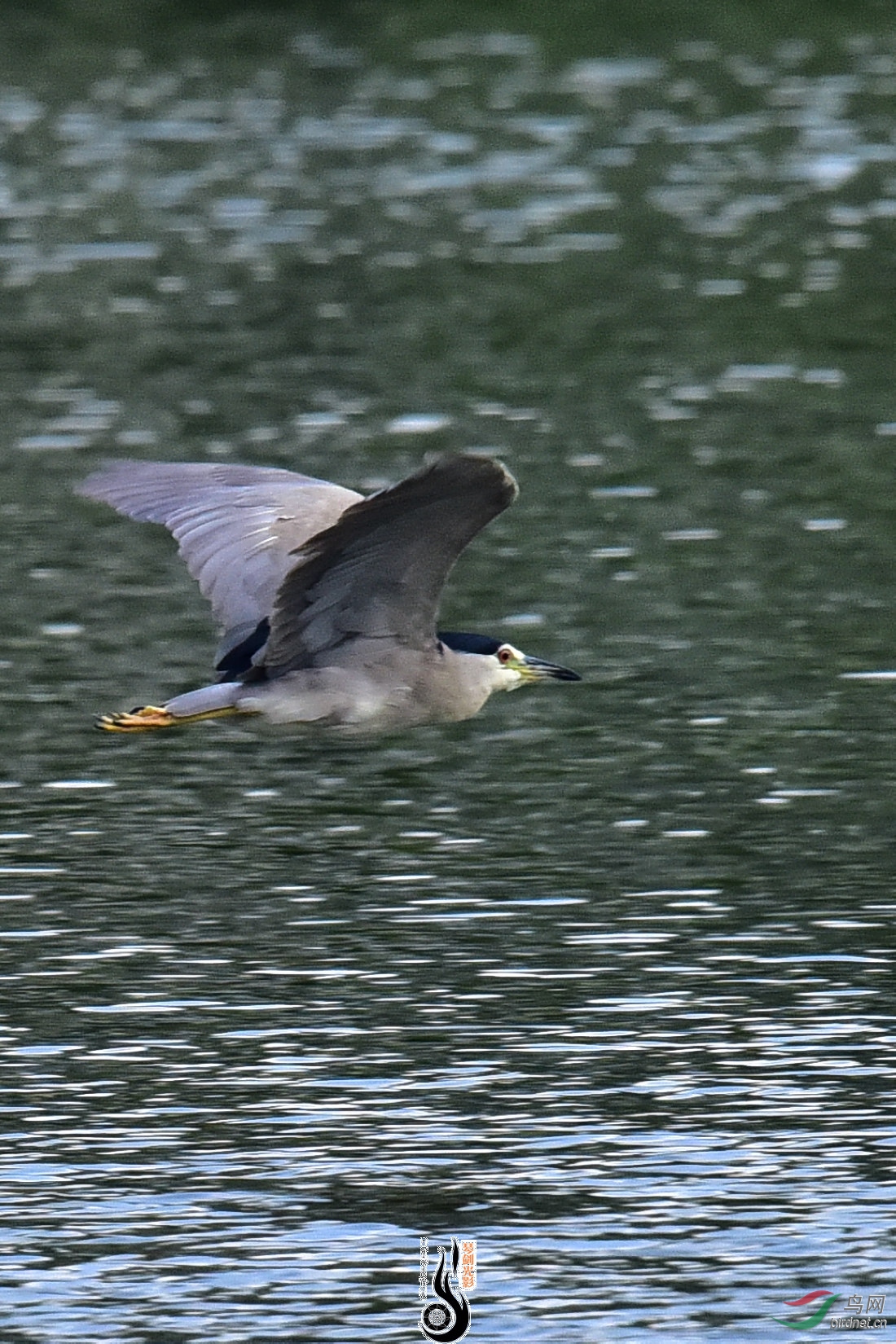 DSC_6296.JPG