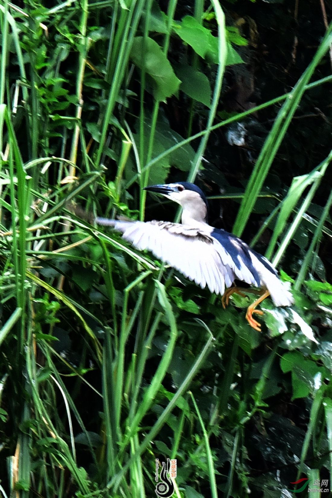 DSC_6307.JPG