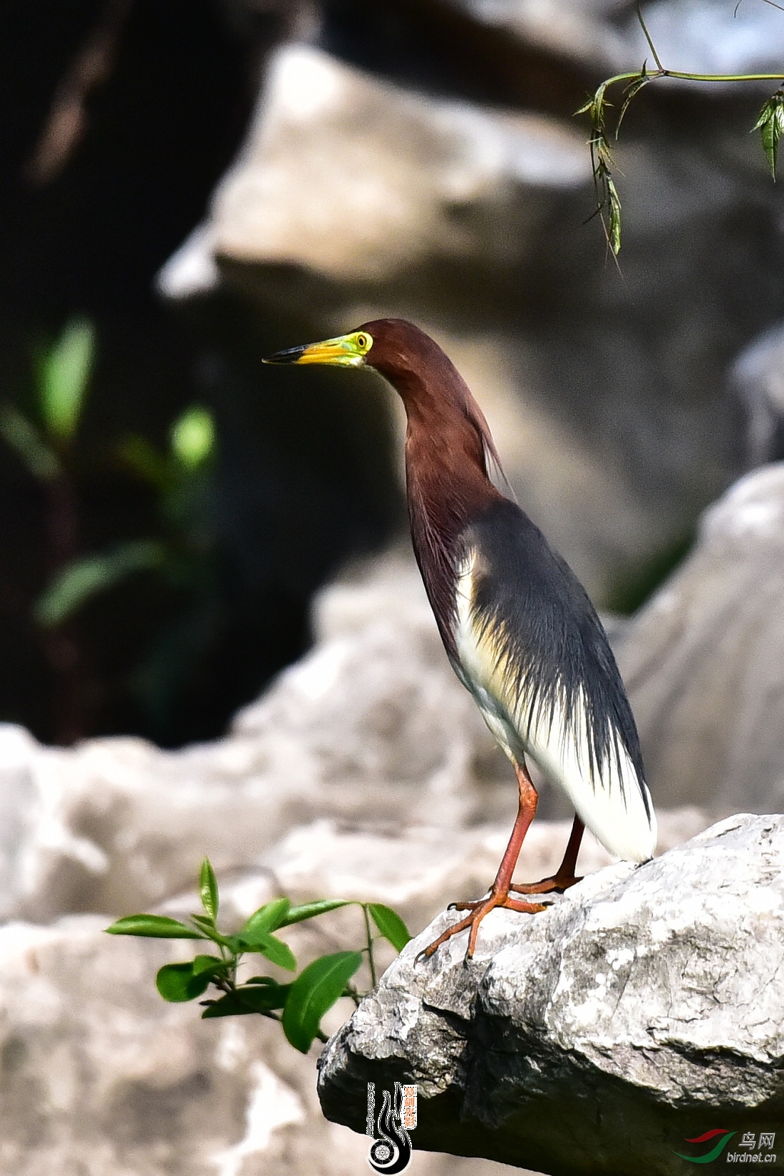 DSC_6344.JPG