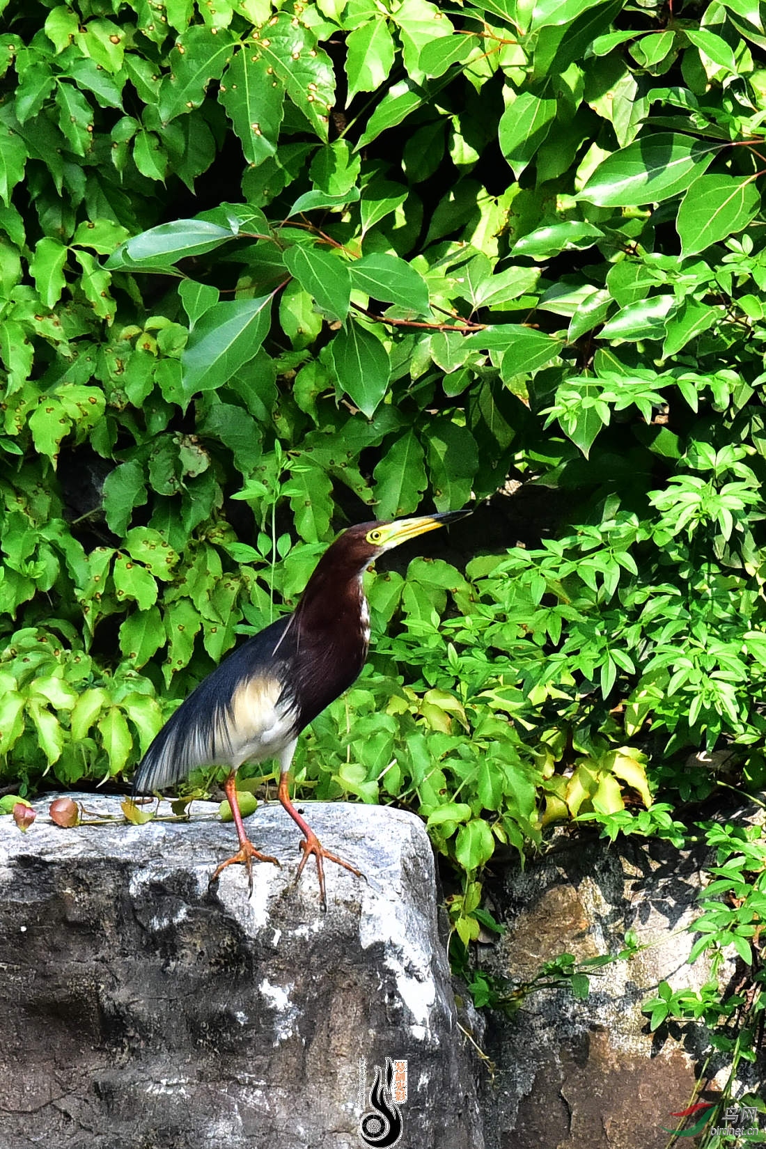 DSC_6345.JPG