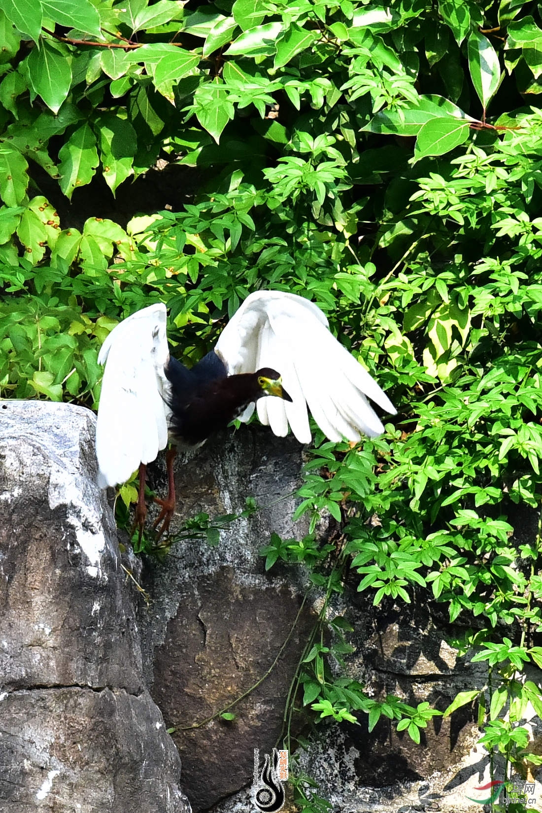 DSC_6348.JPG