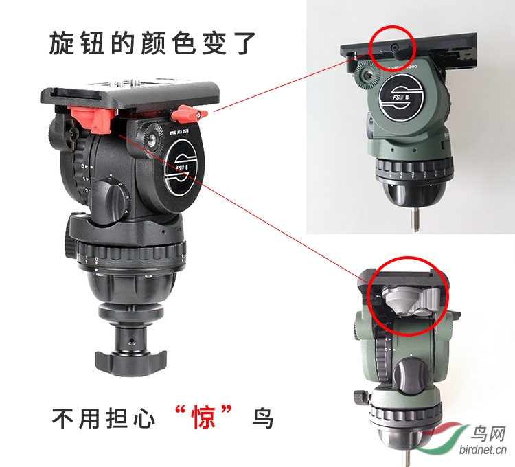 8TBW-06.jpg