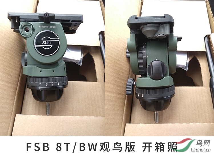 8TBW-09.JPG