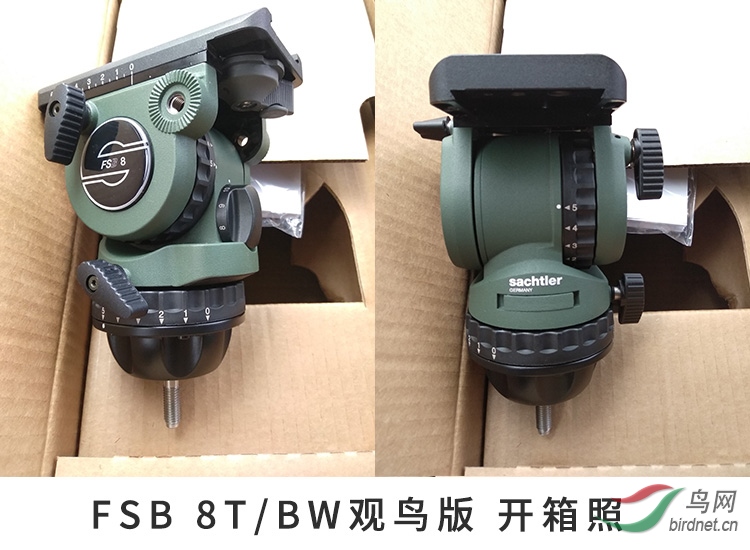 8TBW-10.jpg