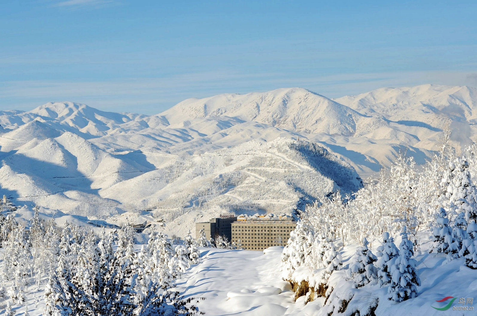 阿勒泰山最高的山峰图片