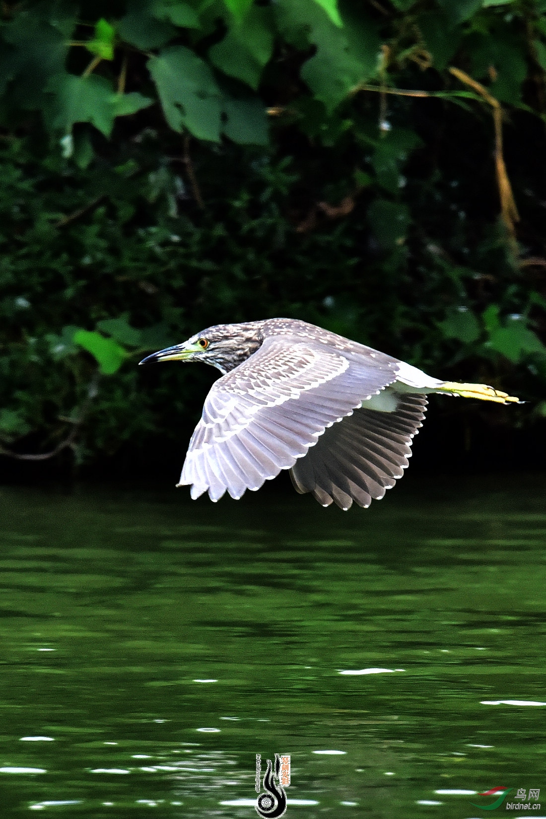 DSC_6831.JPG