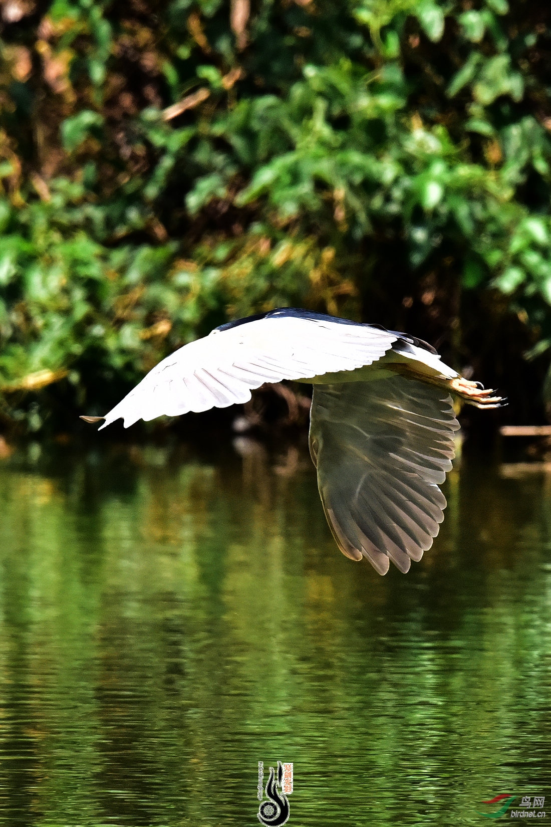 DSC_6866.JPG