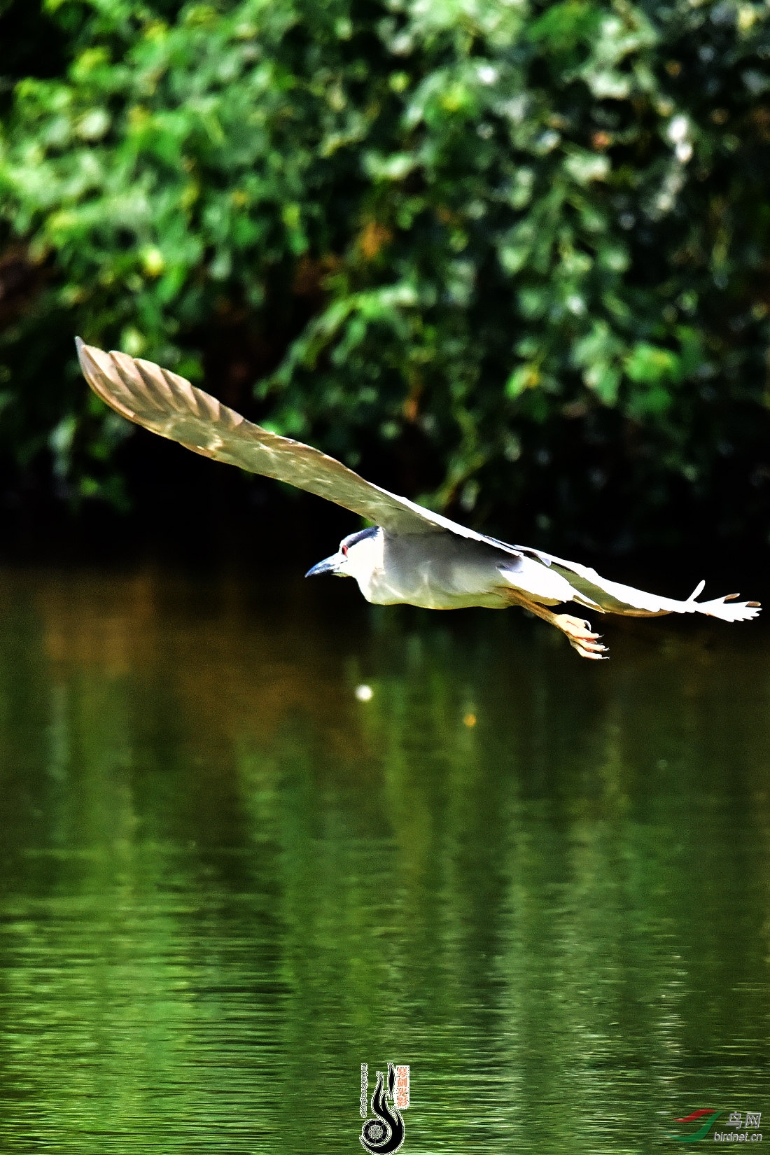 DSC_6869.JPG