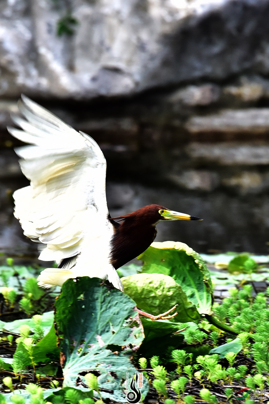 DSC_7188.JPG