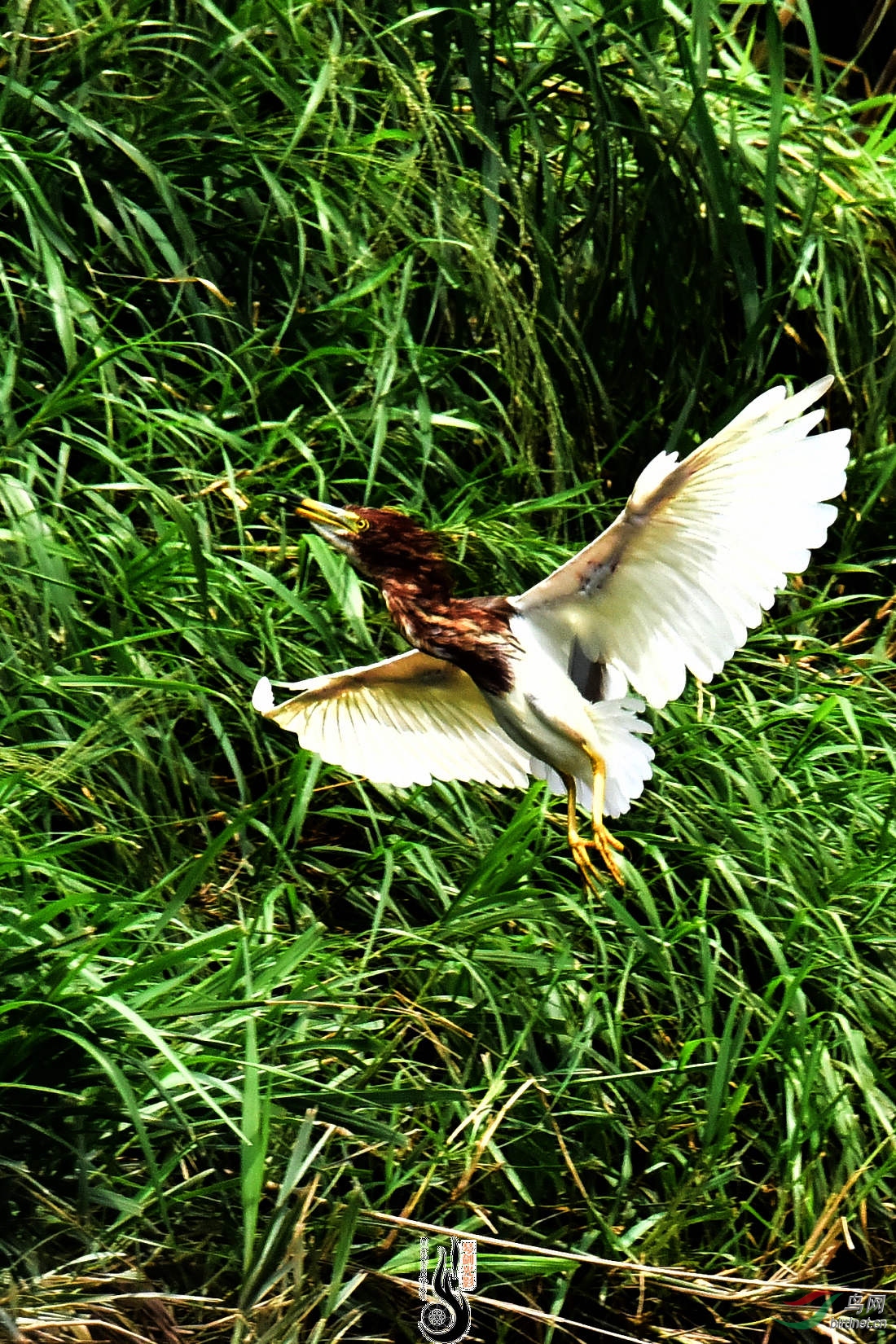 DSC_7352.JPG