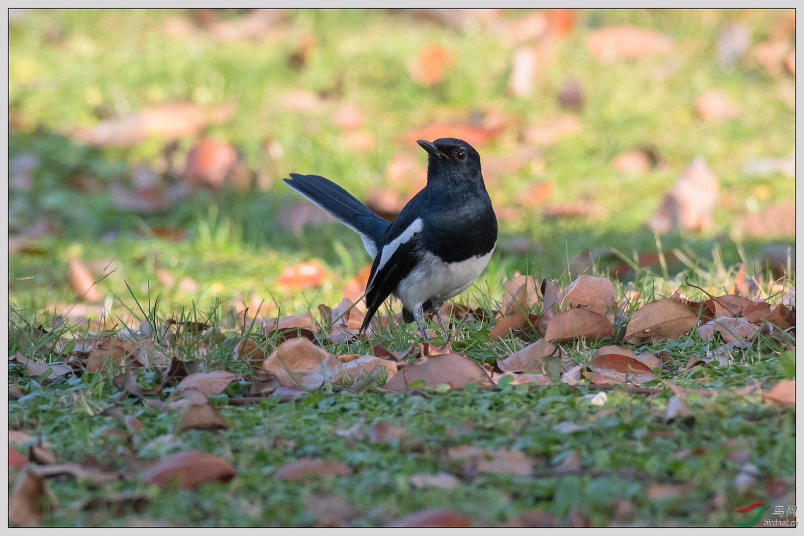 �������10��