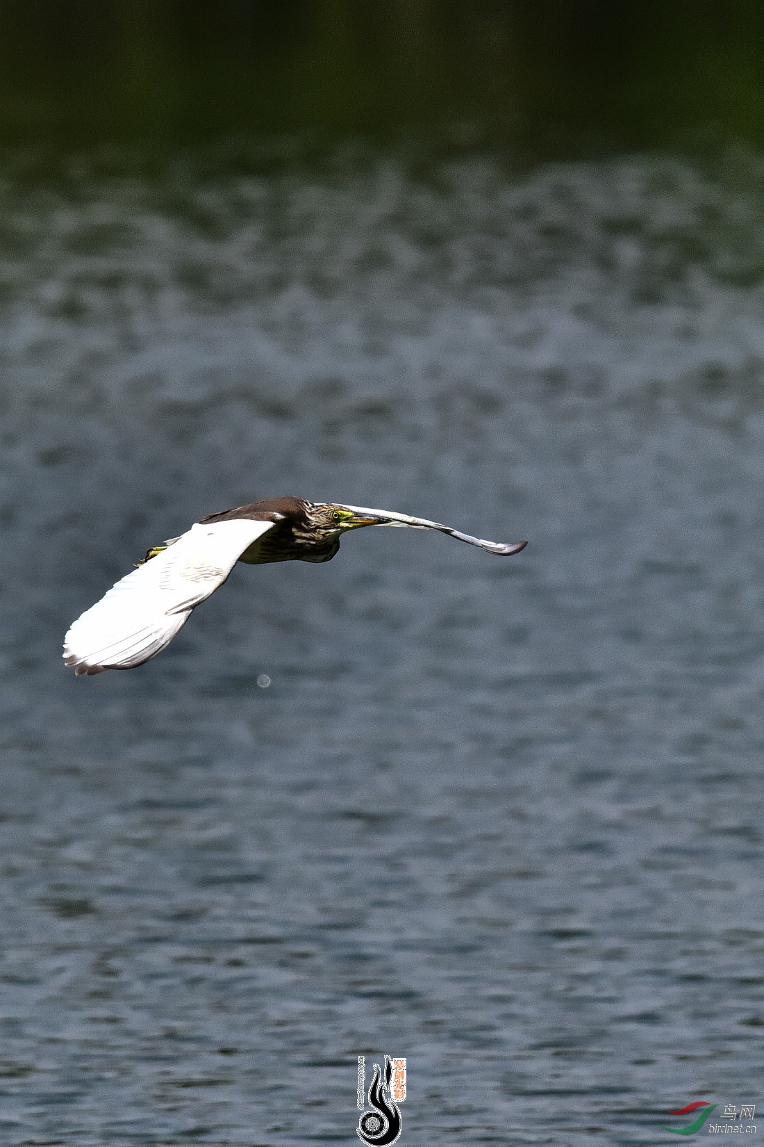DSC_7553.JPG