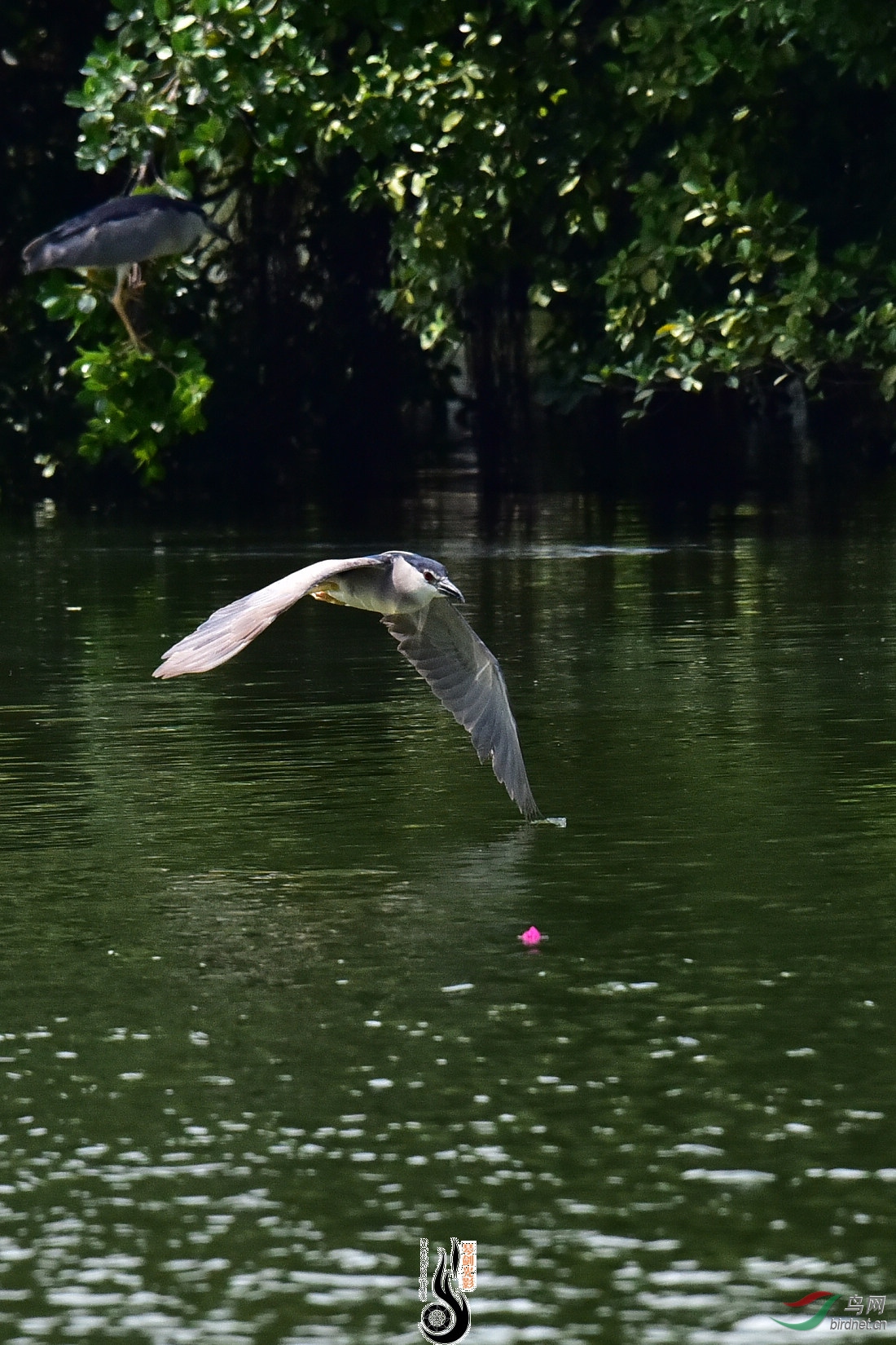 DSC_7563.JPG