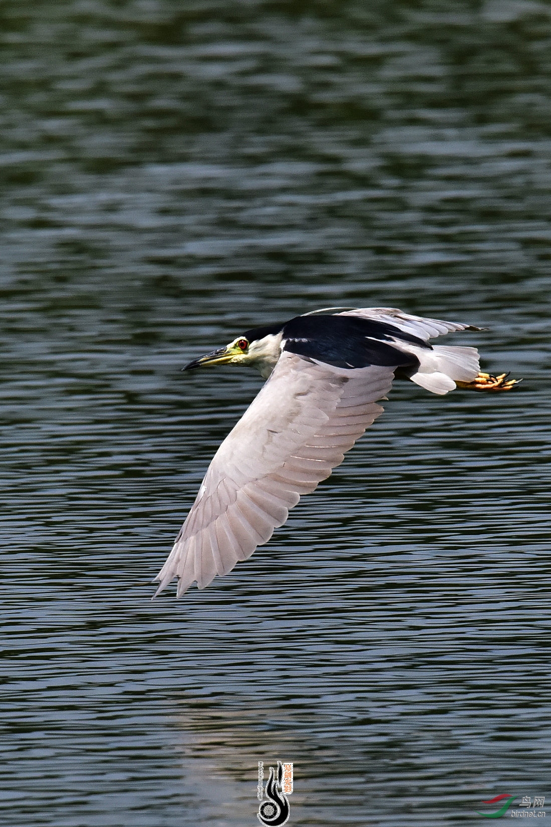 DSC_7636.JPG