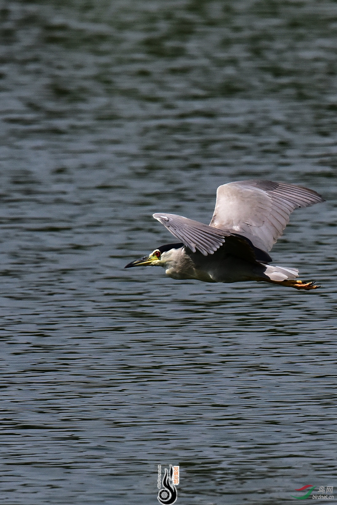 DSC_7640.JPG