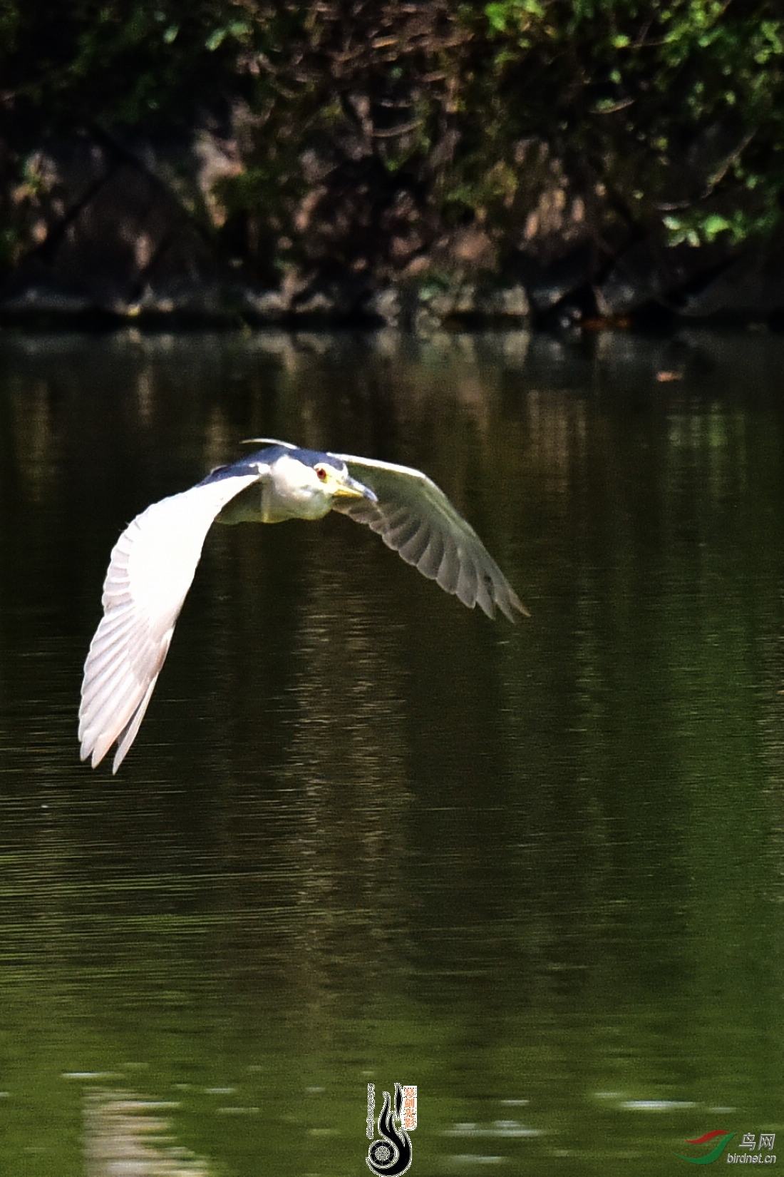 DSC_7646.JPG