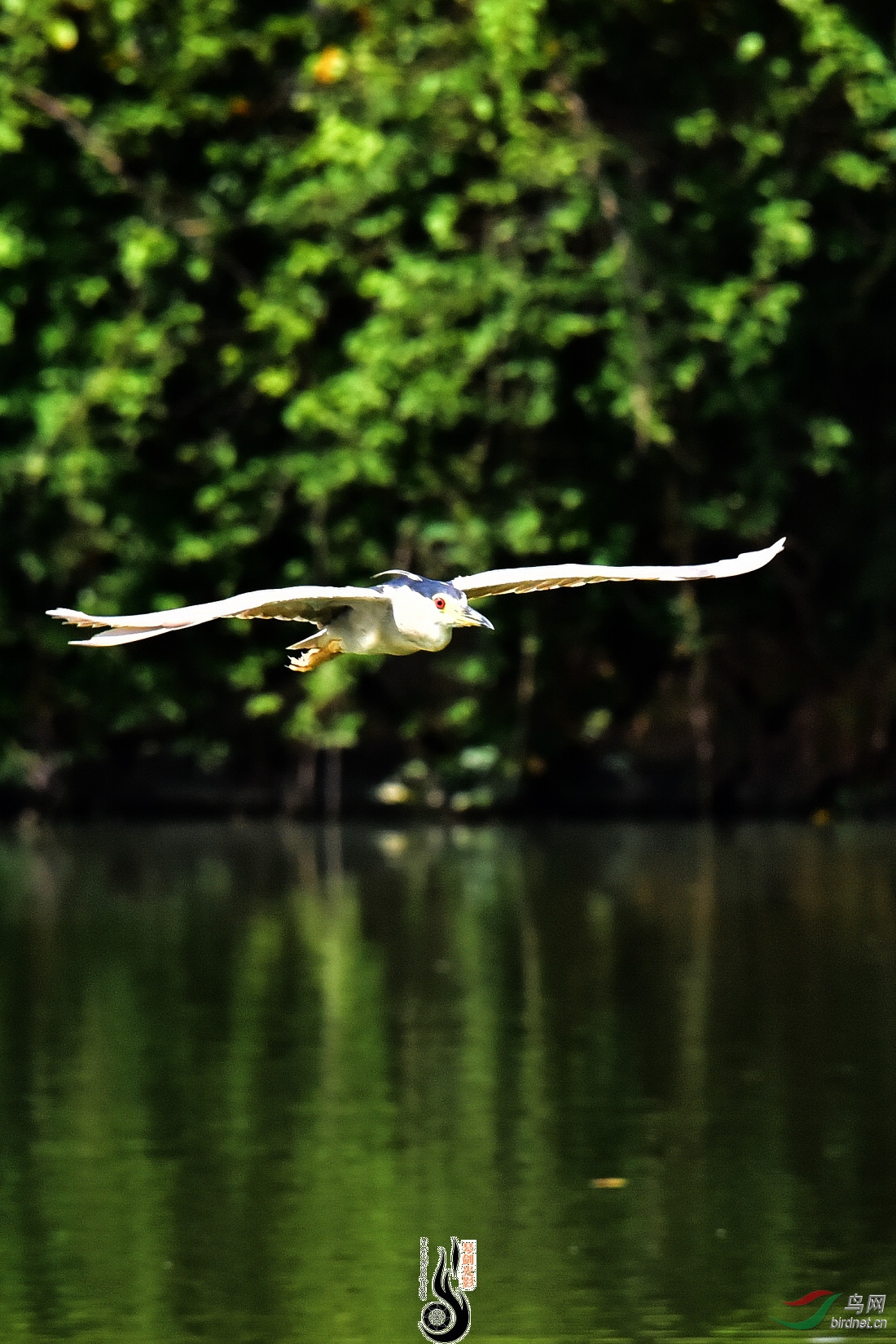DSC_7654.JPG