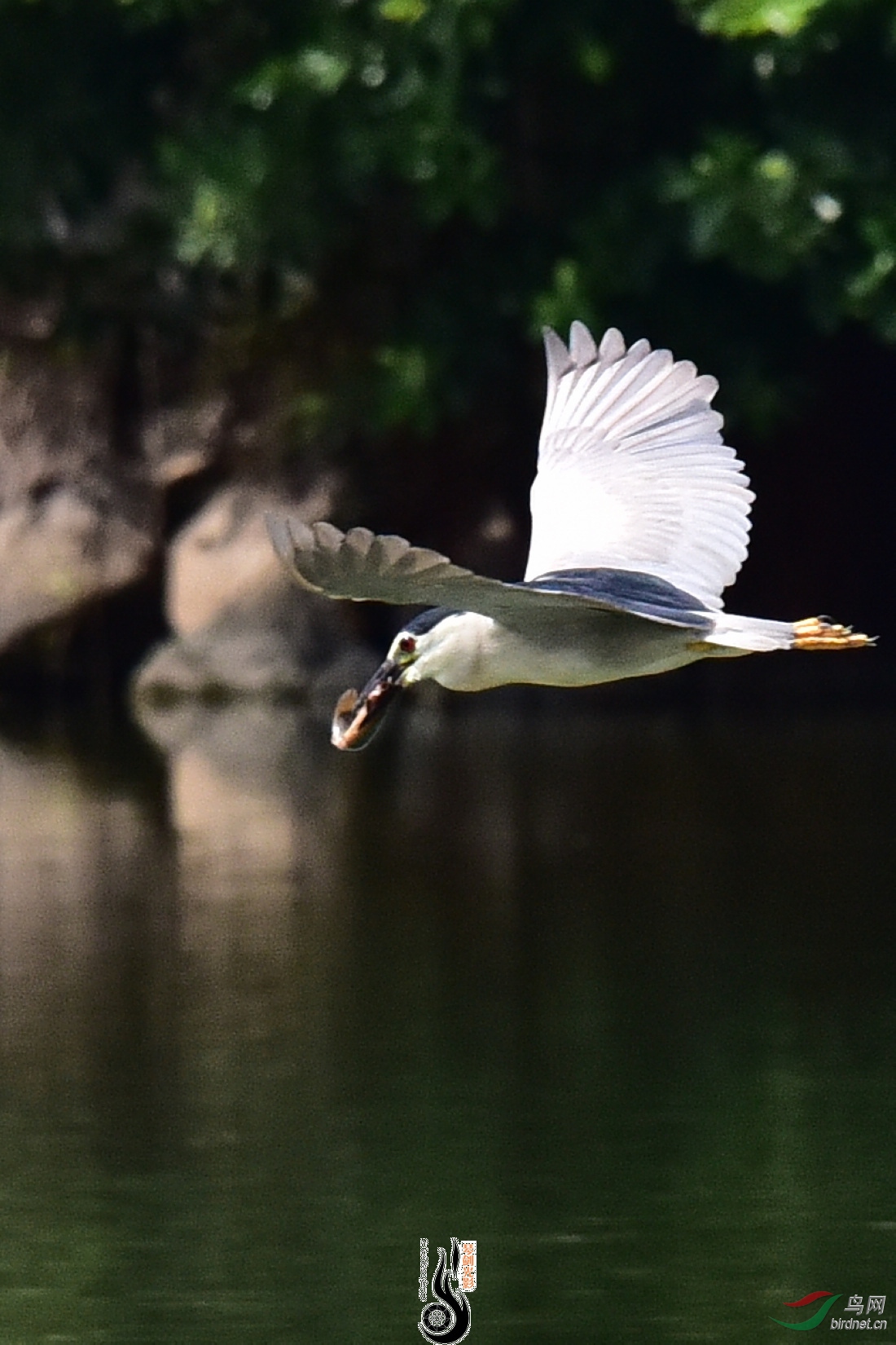DSC_7673.JPG