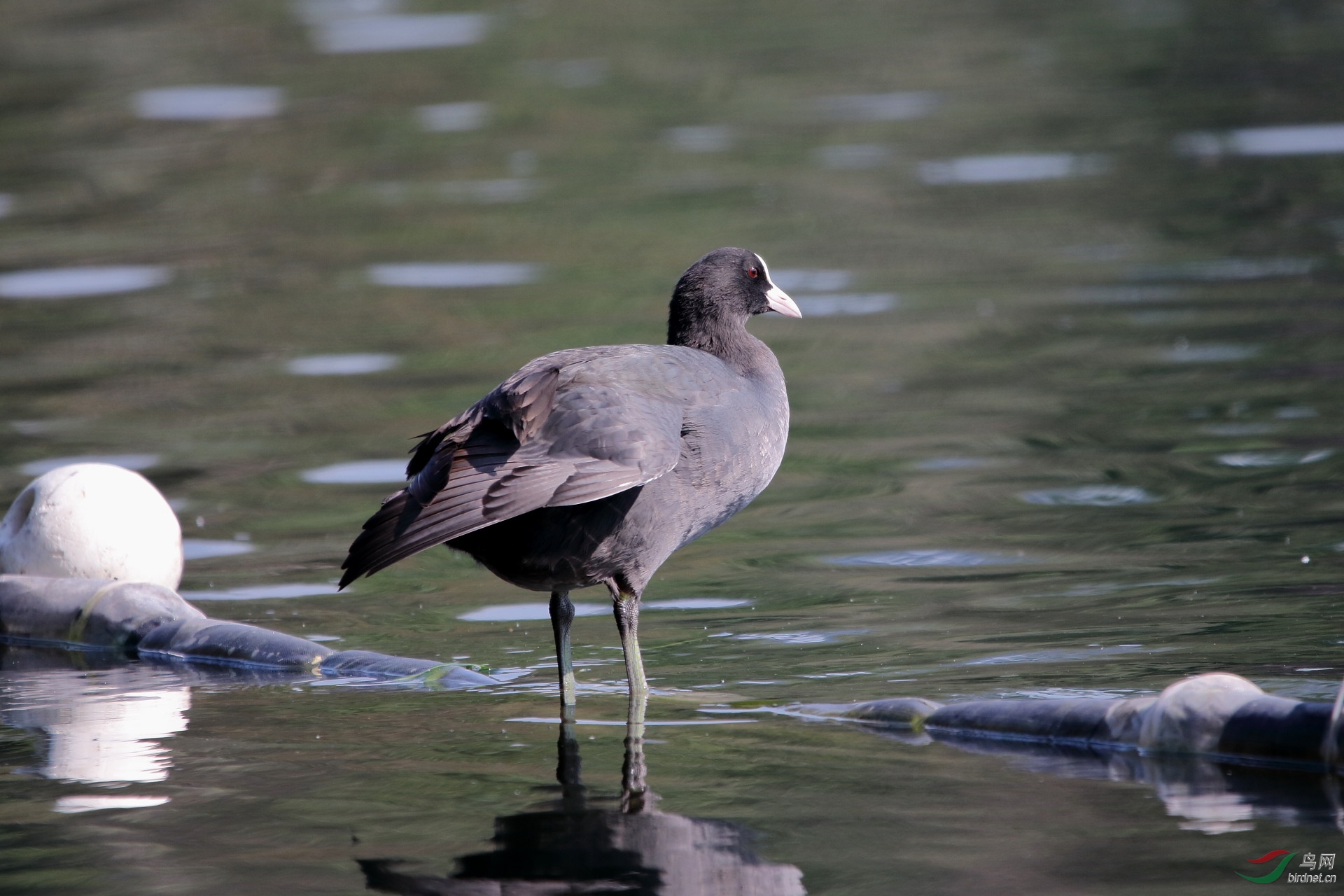 IMG_8694.JPG