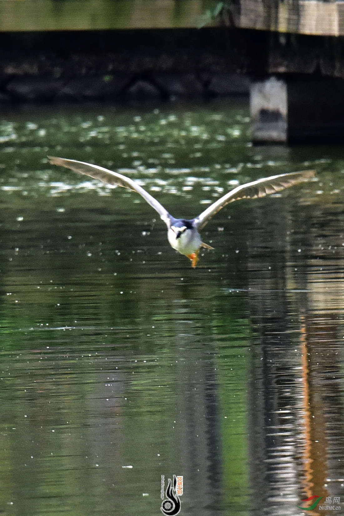 DSC_7775.JPG