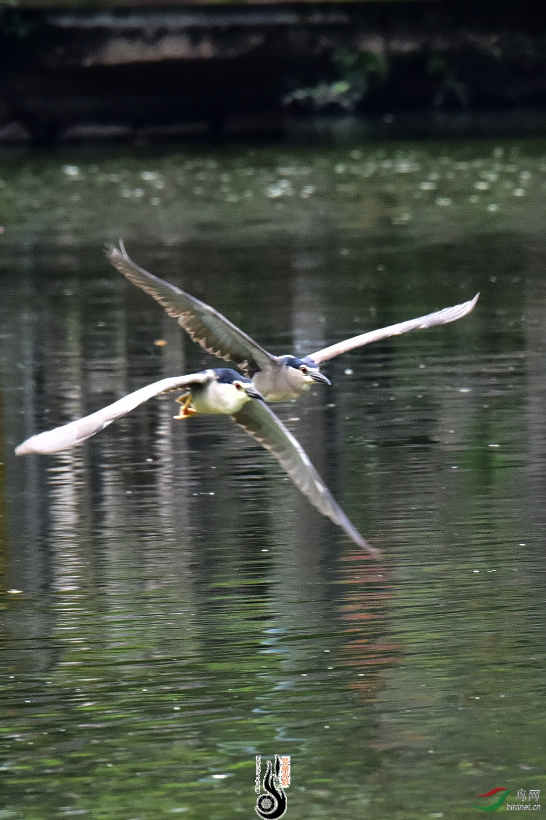 DSC_7778.JPG