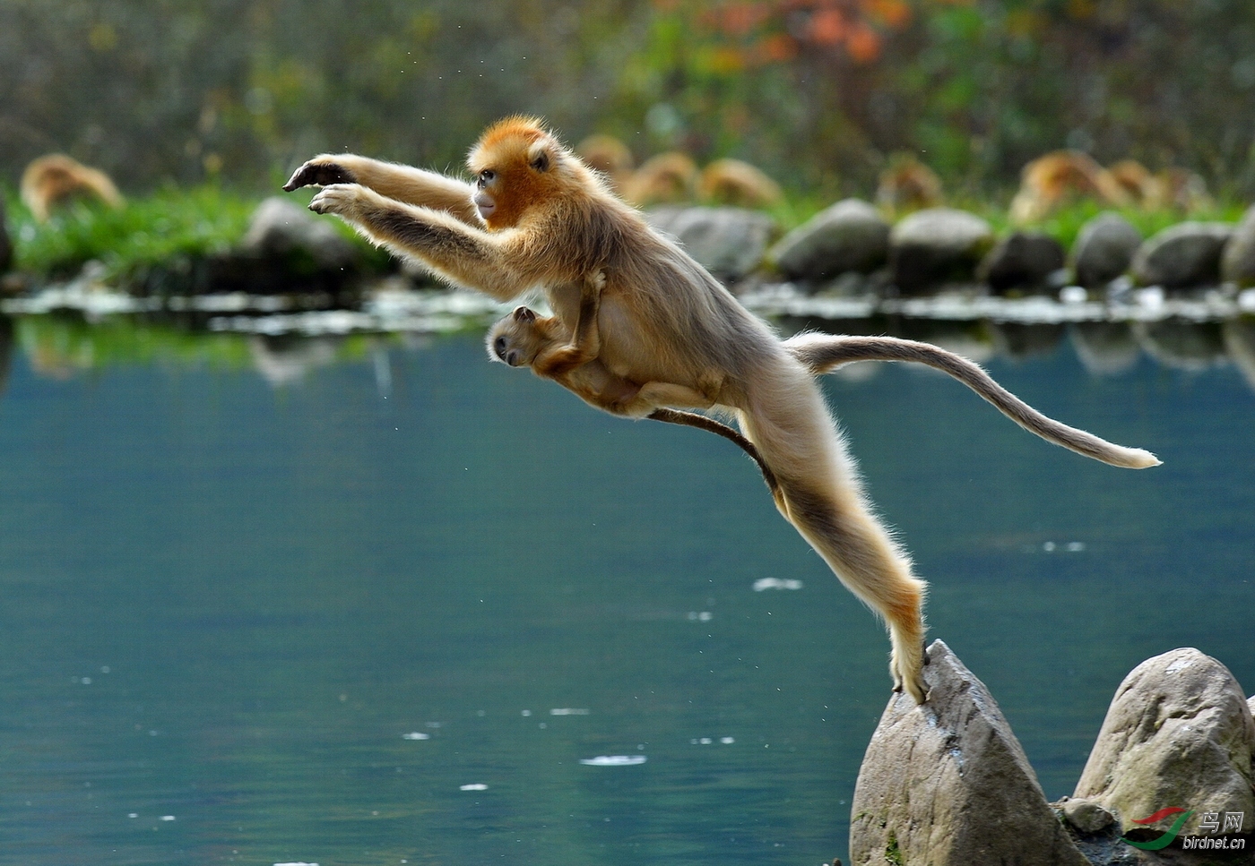 ����Ӱ��-������-��Χ-0030.jump��Ծ.JPG