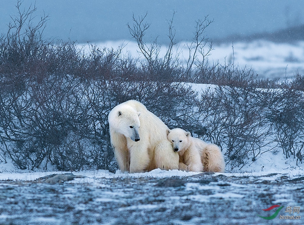 �Ⲩ ��������������һ��-��Χ-0462.������.jpg