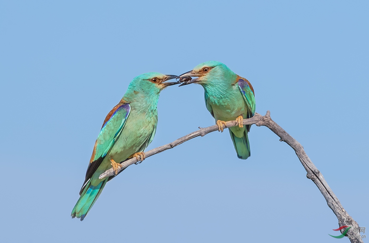 ������-����HM����-OK 0233.����֮��.jpg