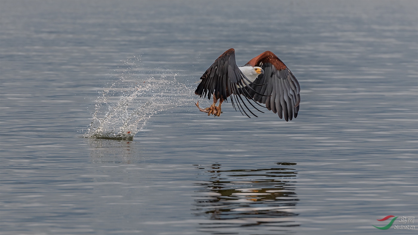 ����漡���Jie Fischer-��Χ-0108.ˮ�����wxy123-pic-5b8eebf502c43.jpg