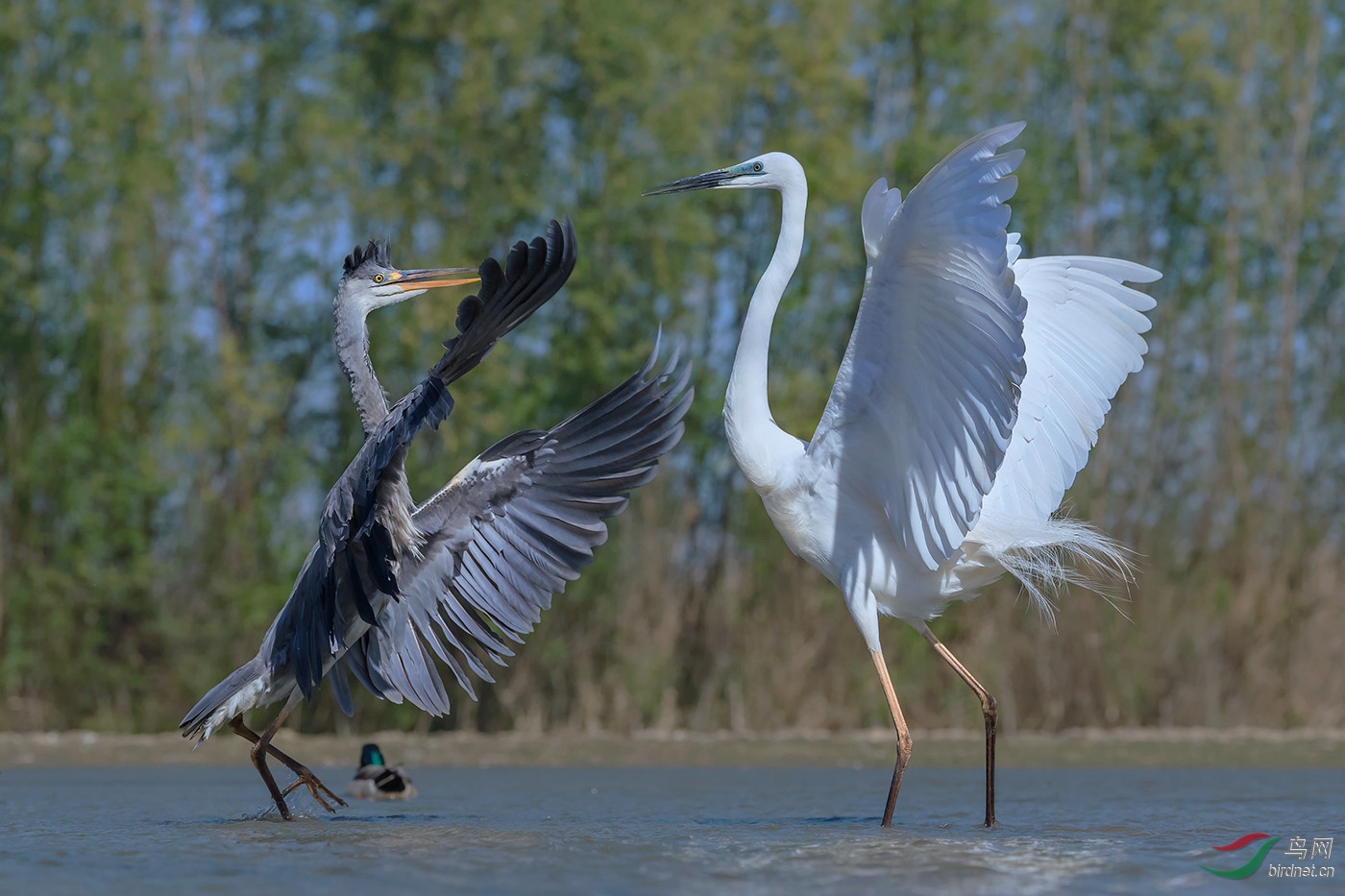 ����漡���Jie Fischer-��Χ-1055.ս��wxy123-pic-5b8ebf842e283.jpg