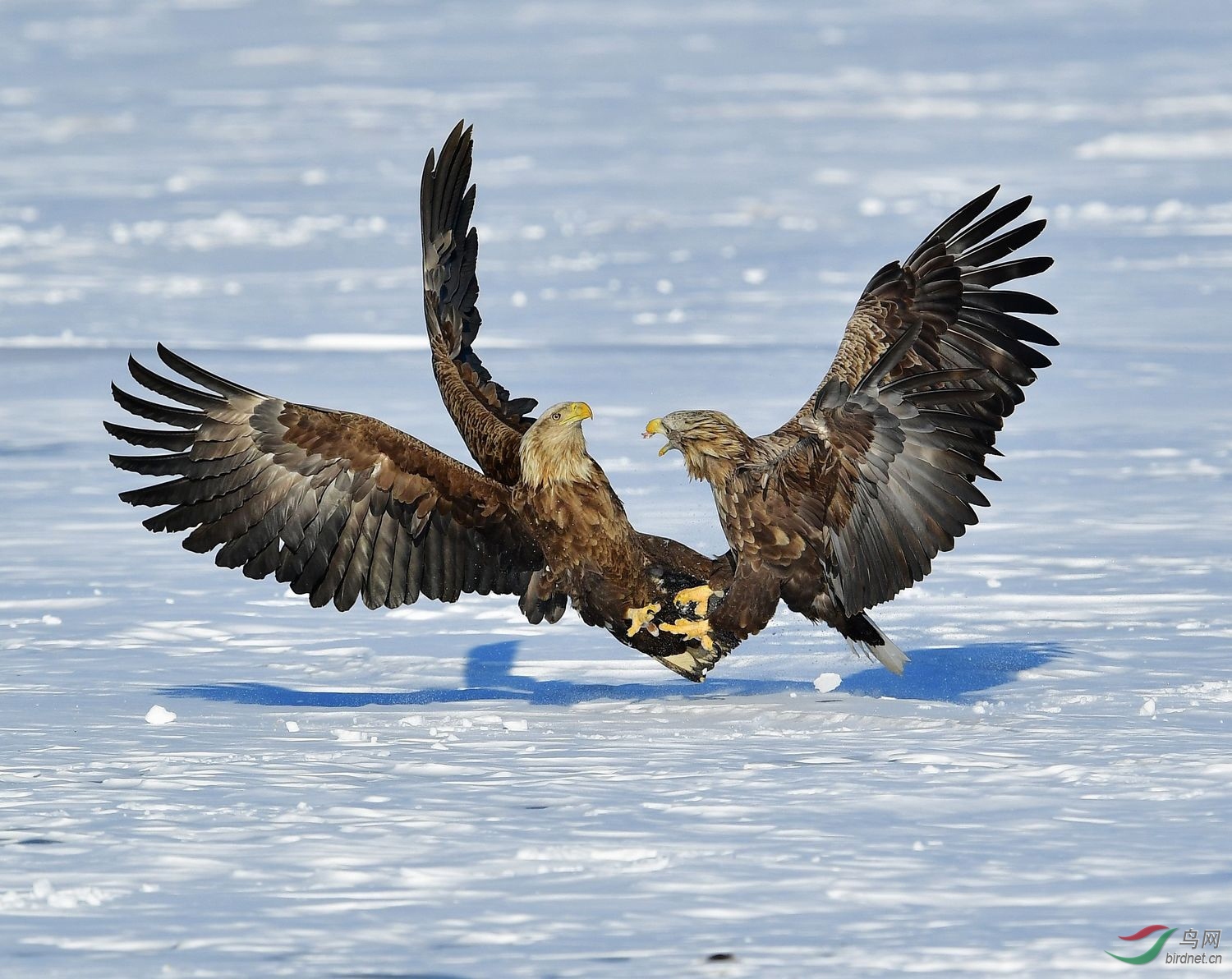 �����󡪡�����������-��Χ-0770.��β���� (2).jpg