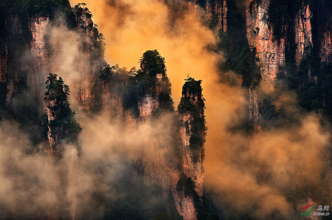 24.5��--����Ӱ��-������-����ͭ��B-0371.�������ɽ硷 ������ 13879459989.jpg