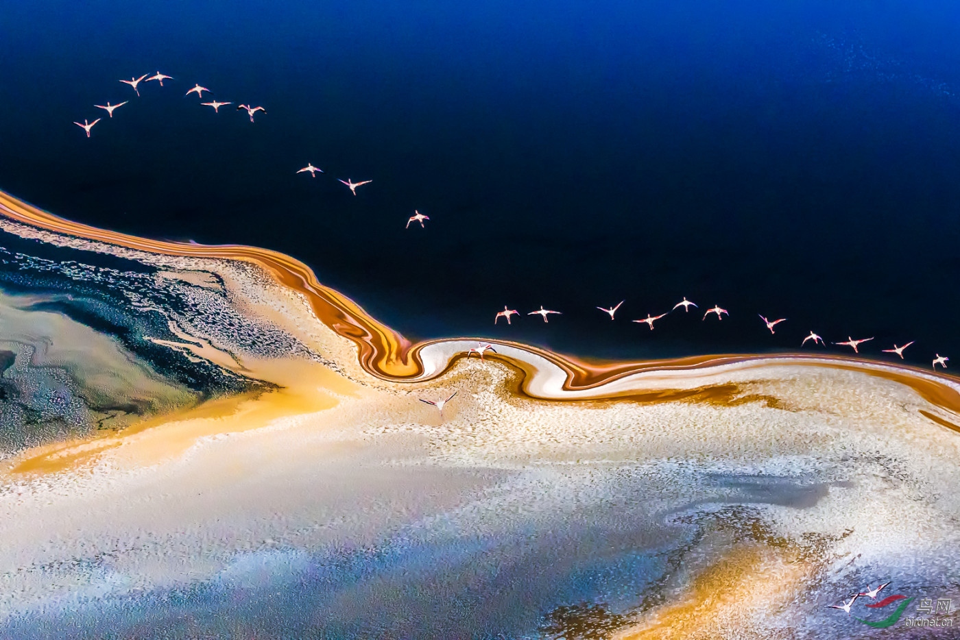 Jin Gong-��Χ-0544.ˮ���гwxy130-pic-5ba049c38bb0d.jpg