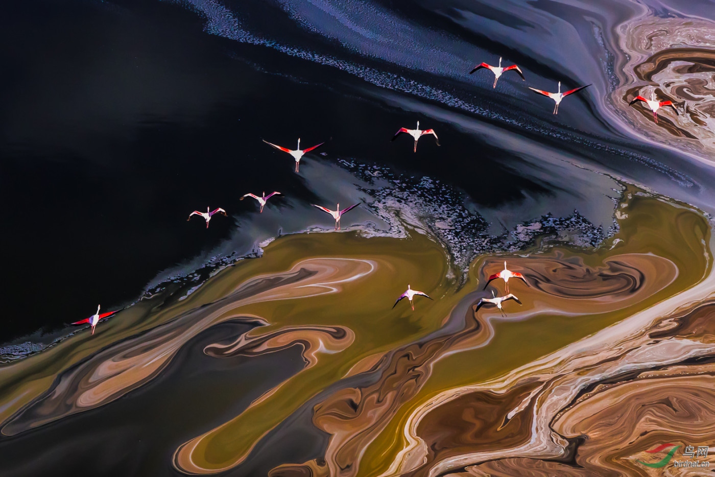 Jin Gong-��Χ-0338.������Ѳ��wxy131-pic-5ba3a35ab0946.jpg