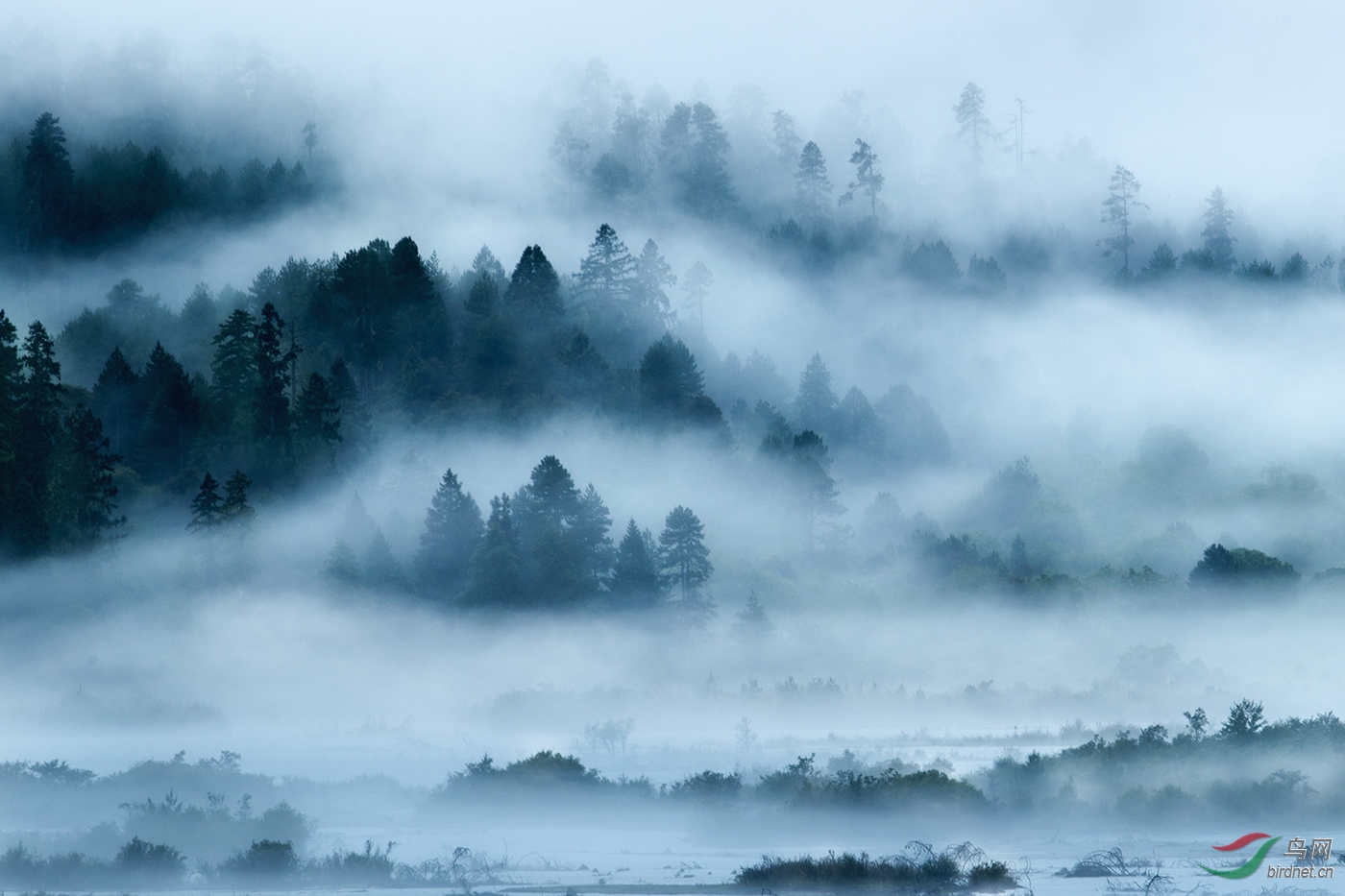 ½ƽ�����´�½93-��Χ-0319.��������_The waves of fog_����Ȼ���.jpg