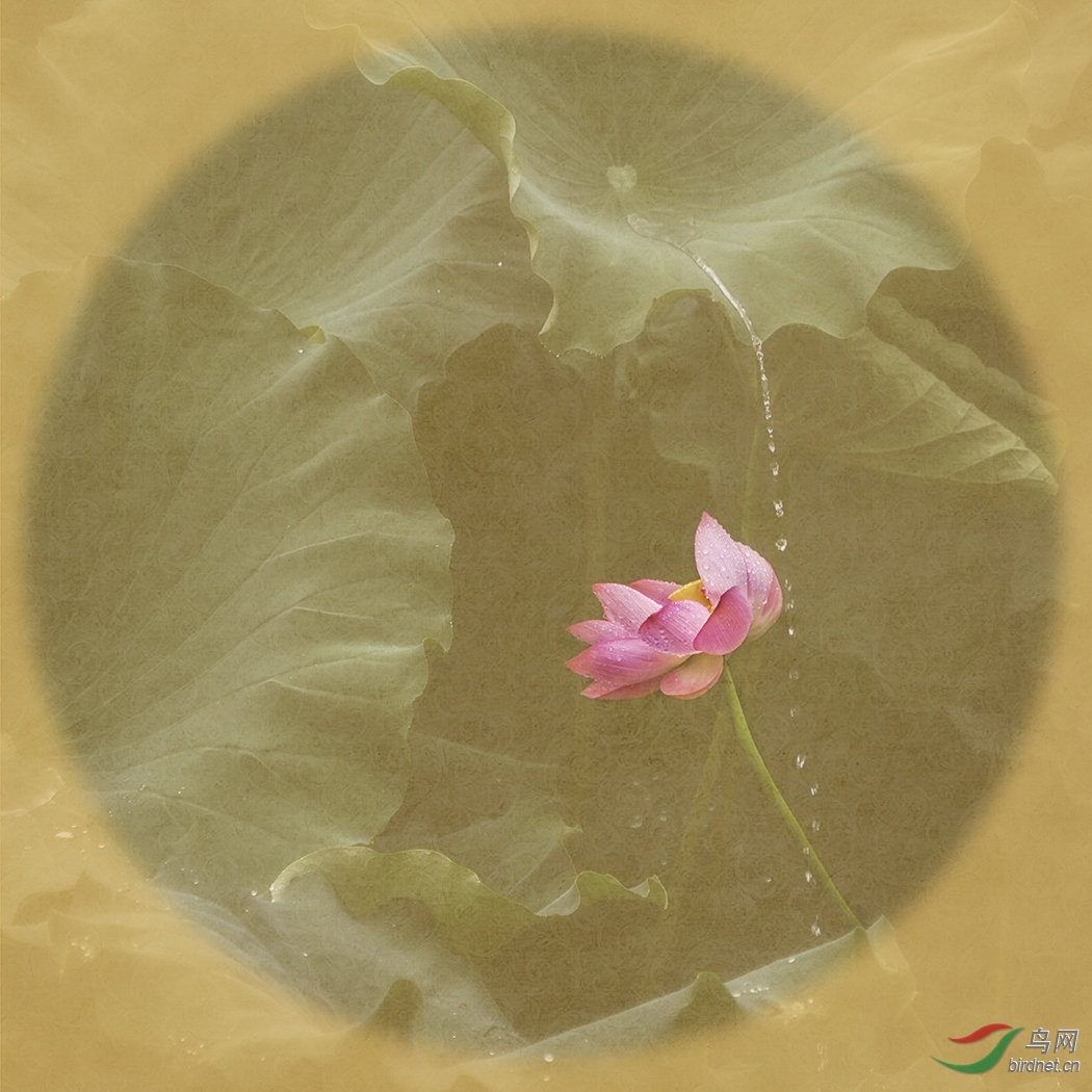��ҢӰ��-ŷ�����ꡪ��-��Χ-0085. ����ɡ�.JPG