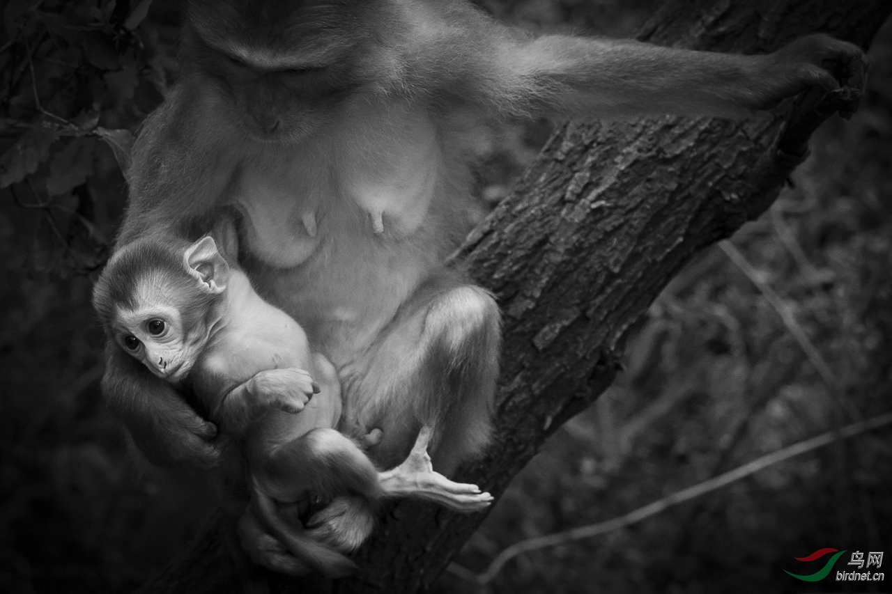 ���ڿ���������w-��Χ-0112.ĸ���� (2).jpg