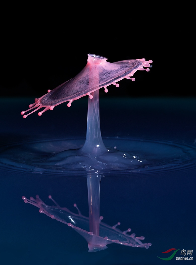 �Ժա���He Zhao-��Χ-1371.��Ө��͸wxy127-pic-5b99ce0b1f1b5.jpg