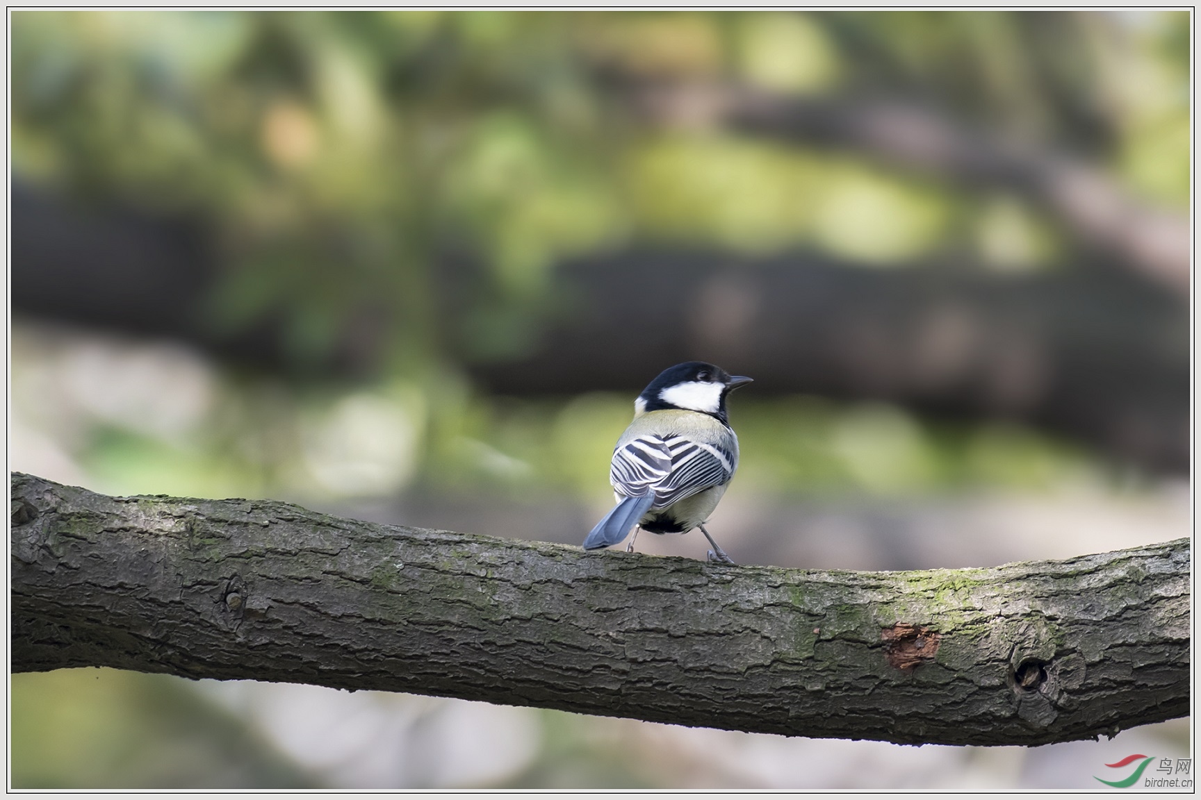 12���в���