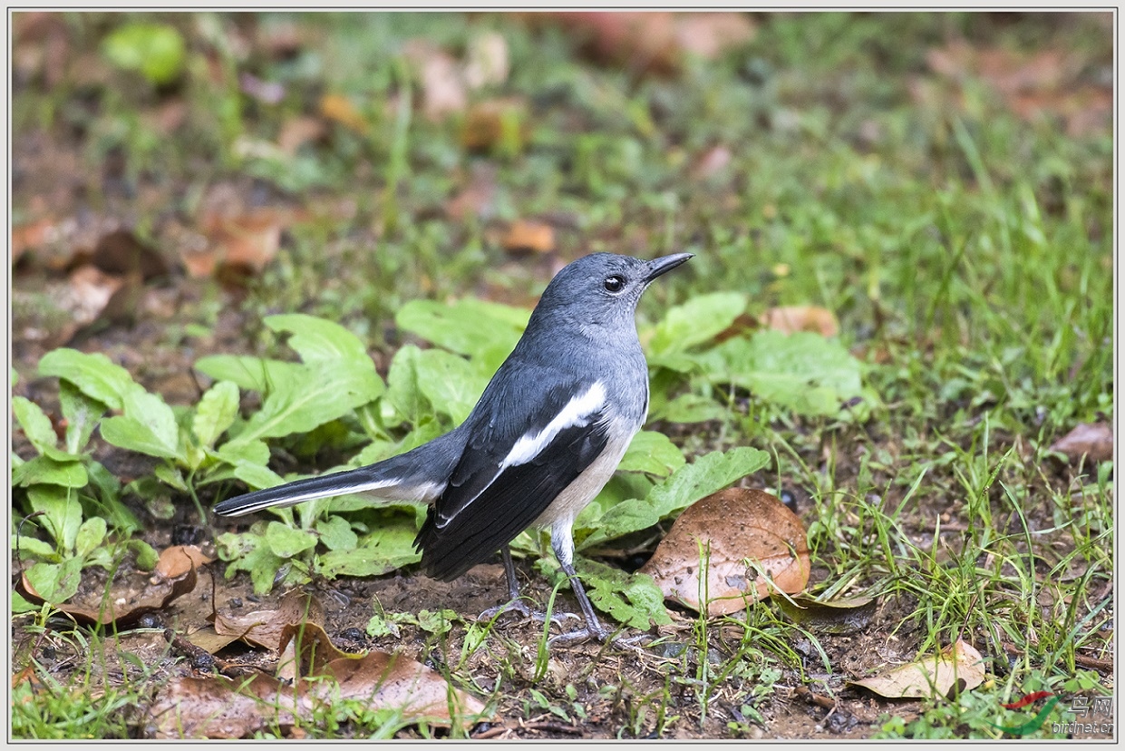 4���޲���