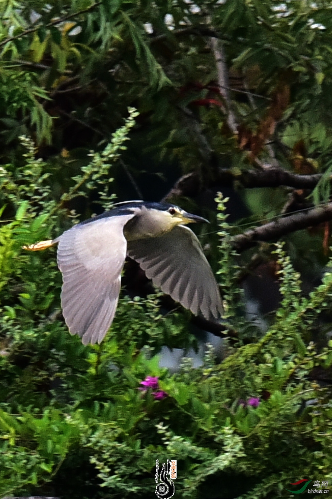 DSC_7805.JPG