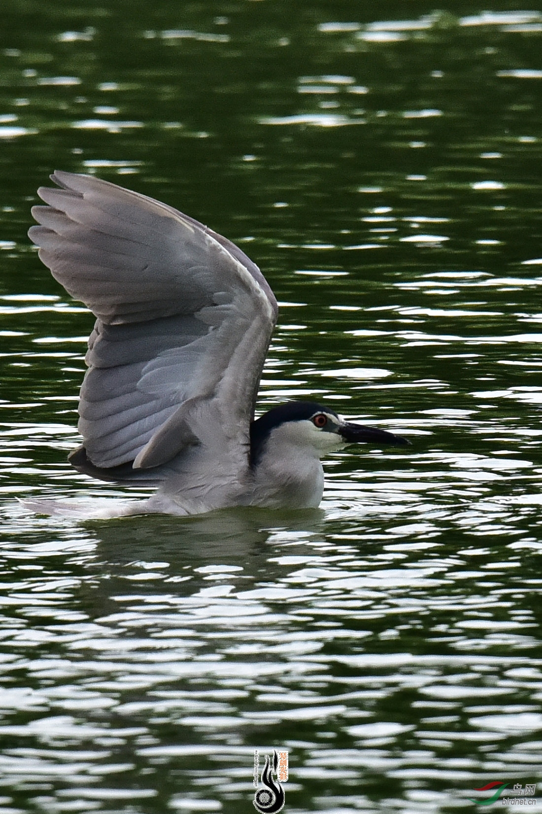 DSC_7849.JPG