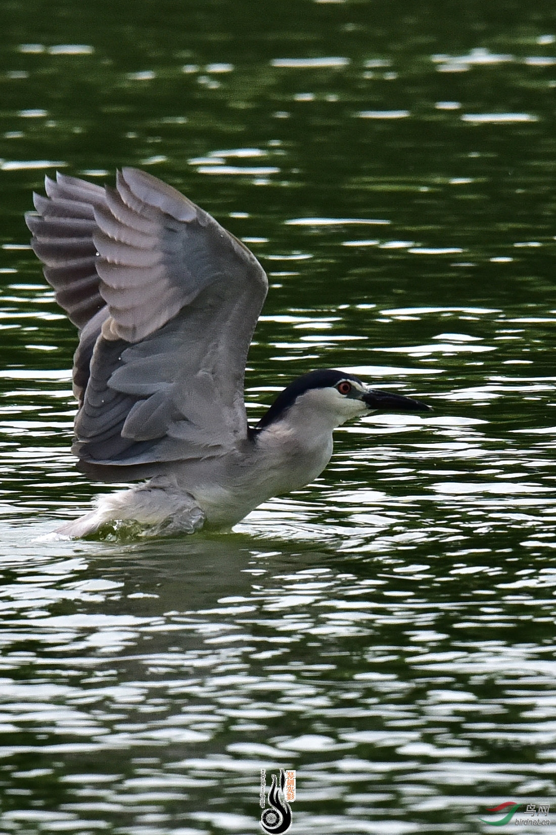 DSC_7850.JPG