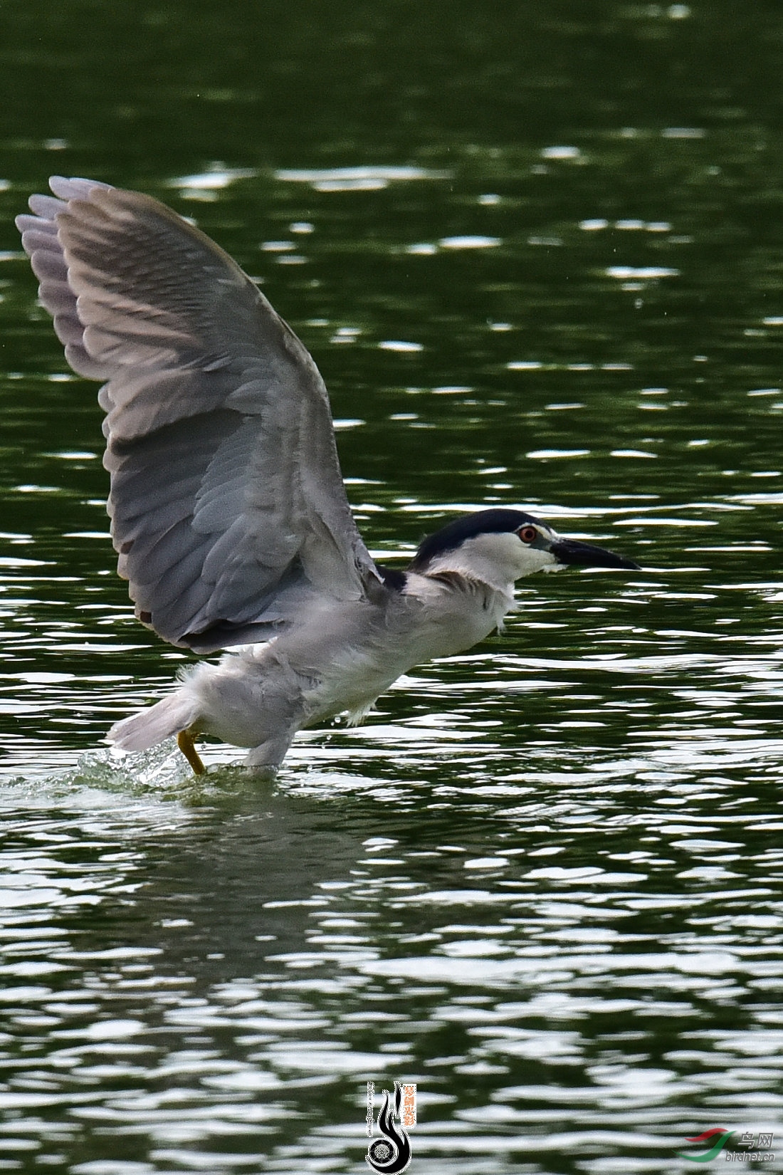 DSC_7851.JPG