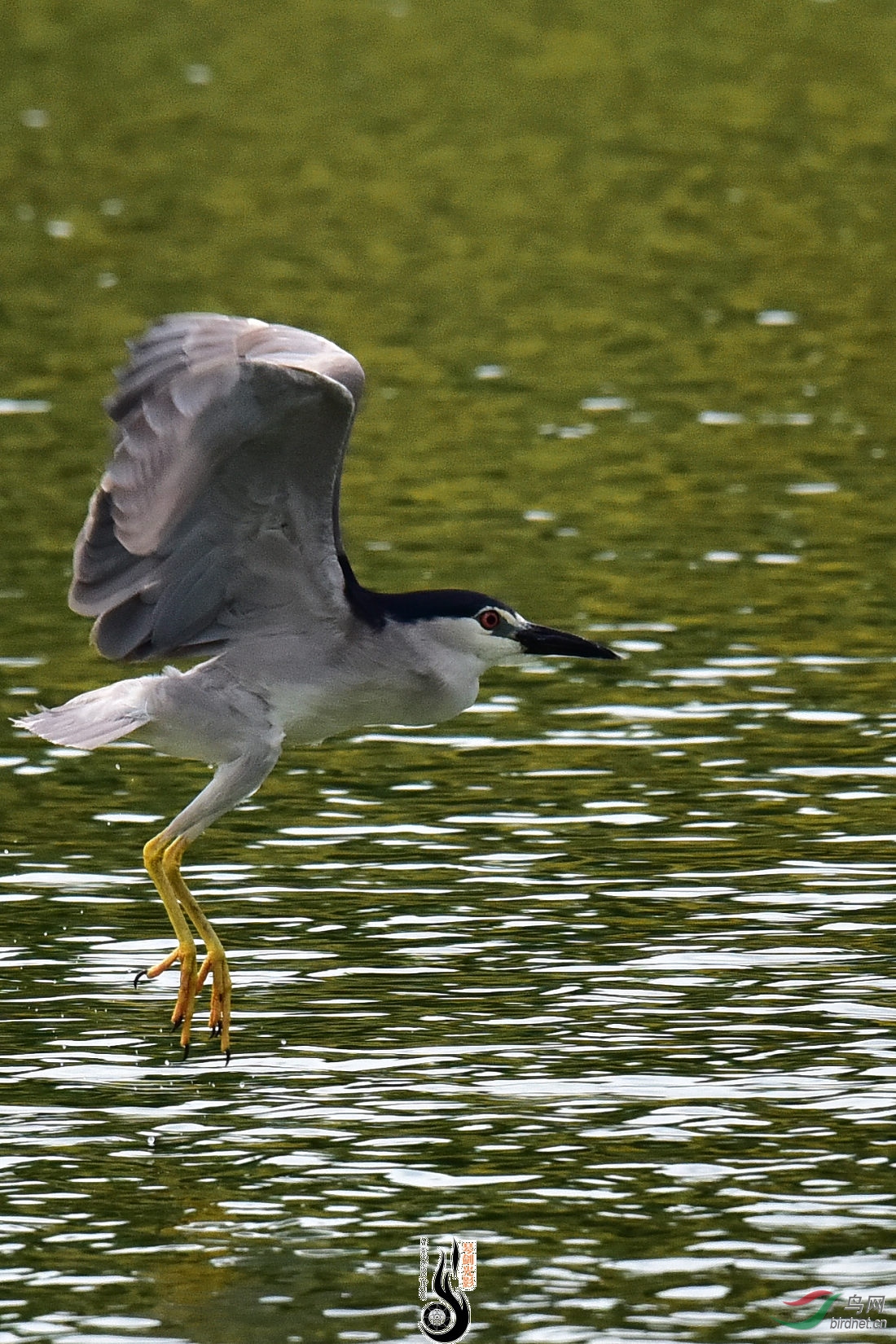 DSC_7854.JPG