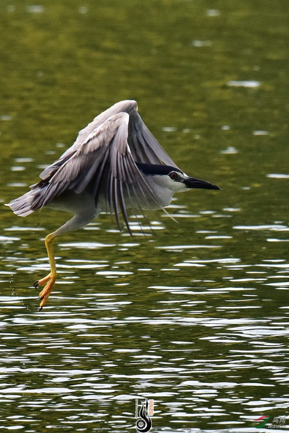DSC_7855.JPG