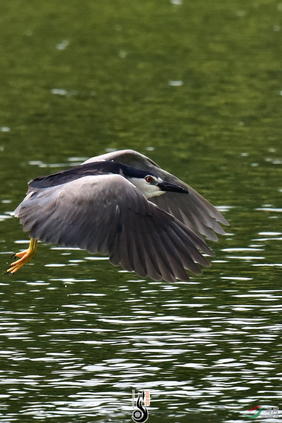 DSC_7856.JPG